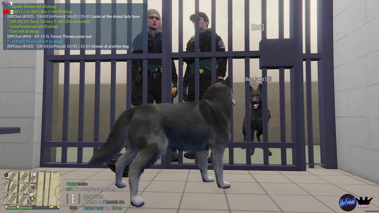 GTA V Roleplay/RP FiveM Street dog YouTube