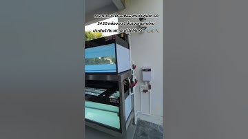 จบงานระบบ O4 สำหรับตู้ปลา 60 24 20 กรองบน 2 ชั้นรวมทีมกับใหม่ประพันธ์ ทีม NC. ยินดีจัดให้ครับ 🛠️⚒️⛏️