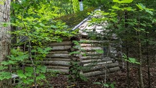 Join me as I start building a new log cabin, for free, and talk about the time I lived off-grid and show my old log cabin that has been 