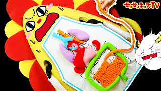 【お医者さんごっこ】緊急手術！？おなかが痛いサンサンを助けよう♪内蔵エプロン・子供向け知育教育★サンサンキッズTV★ screenshot 1