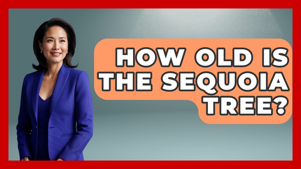 How Old Is The Sequoia Tree? - The Plant Enthusiast