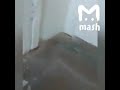 Terrifying New Video Emerges From Crimea School Massacre