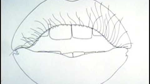 Hand drawn abstract animation.