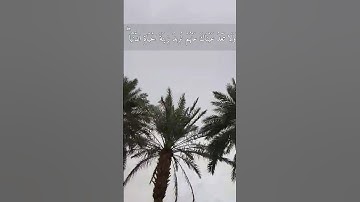 رعد الكردي {وَاصْبِرْ نَفْسَكَ مَعَ الَّذِينَ يَدْعُونَ رَبَّهُم..}    سورة الكهف