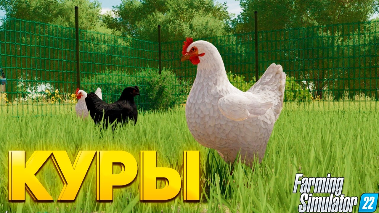 МЫ РАЗВЕЛИ КУР! ДОСТОЙНОЕ ВЛОЖЕНИЕ!? – Farming Simulator 22 #9