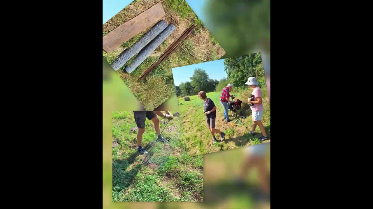 Wittland Verbissschutz