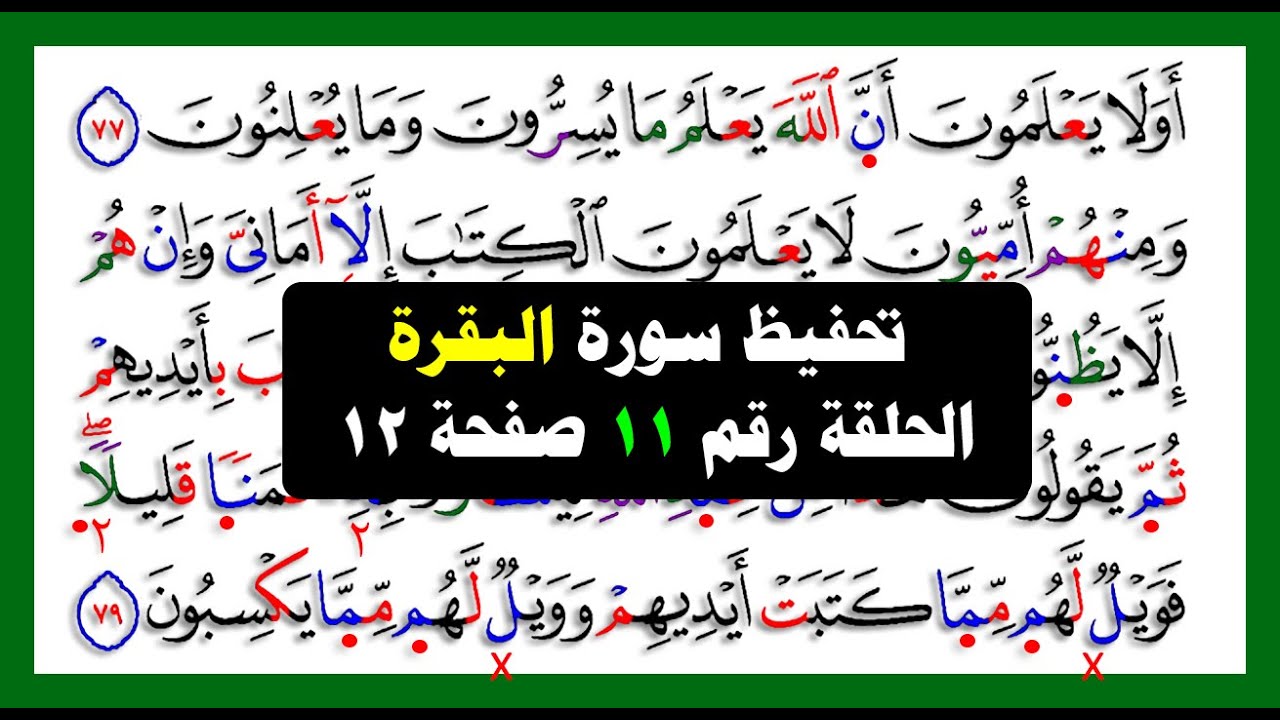 شرح مد التمكين والمثلين الكبير مع تحفيظ سورة البقرة حلقة 11