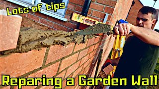 Bricklaying - Garden wall repair #vlog #renovation #bricklaying