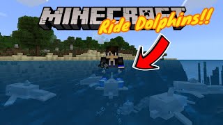 The Only Way to Ride Dolphins in Minecraft!! (Useful!) - Addon - Minecraft screenshot 5