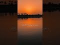 ذبيح مسلب ابن امي ذبيح مسلب ابن امي