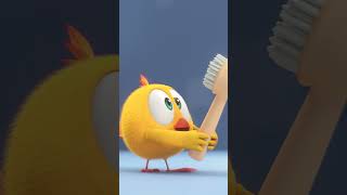 Not the expected item #chicky | Chicky Cartoon in English for kids