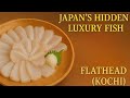 How to Fillet Kochi (Flathead Fish) for Sashimi — Japanese Knife Skill Tutorial