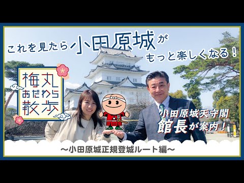 ID：wWZrtONeVSEの動画をポップアップ表示