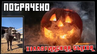 Потрачено. Хэллоуинская тыква. Лучшие приколы, смешные видео и фейлы