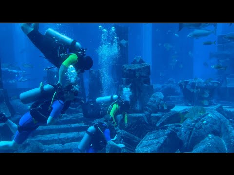 The Lost Chambers Aquarium   Atlantic Hotel, Dubai   4K
