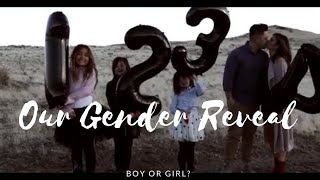 SMOKE BOMBS, BALLOONS \& A GENDER REVEAL!