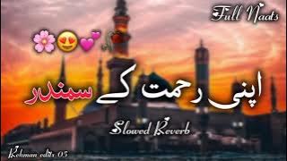 Naat Sharif 2024 Apni Rehmat Ke Samandar Mein Utar Jaane De