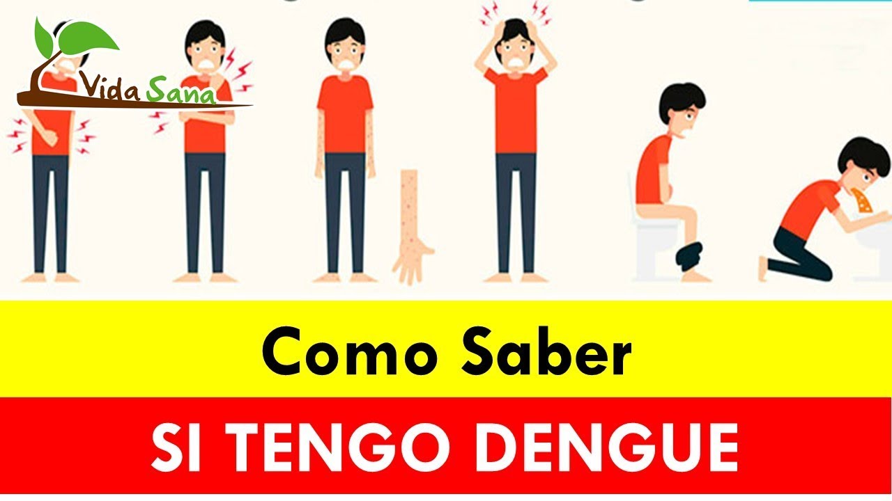 Cómo saber si tengo Dengue - Vida Sana - YouTube