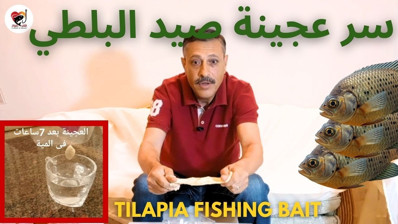 أفضل عجينة سحرية لصيد سمك البلطى | ثابتة على السن وبتجيب سمك كتير