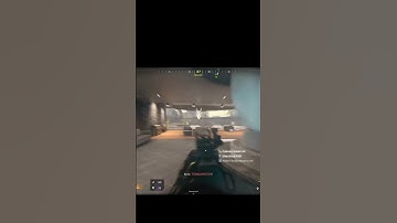 4 Kills Team Wipe in Less than 30 Sec🔥 Swarm STILL BROKE after the Update🔝 #mw3 #warzone #cod #fry