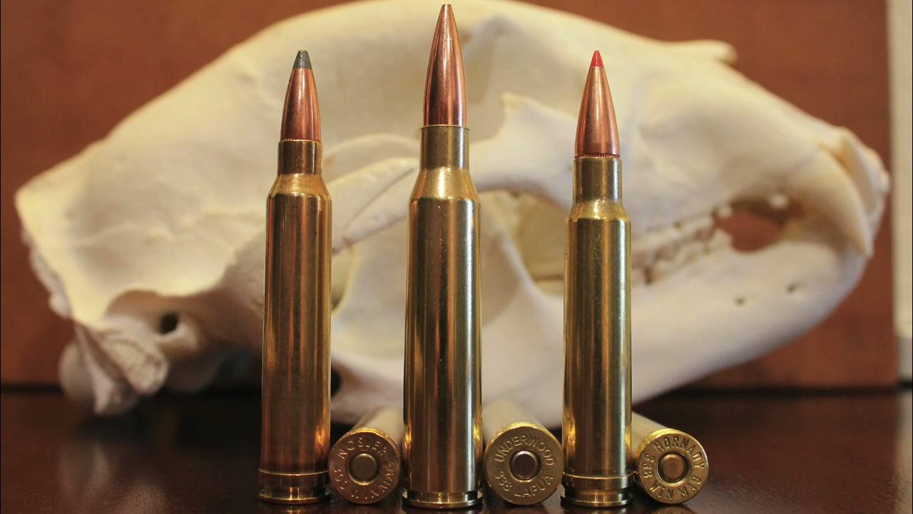 338 Lapua vs 300 Win Mag vs 338 Win Mag What's Best For You? YouTube