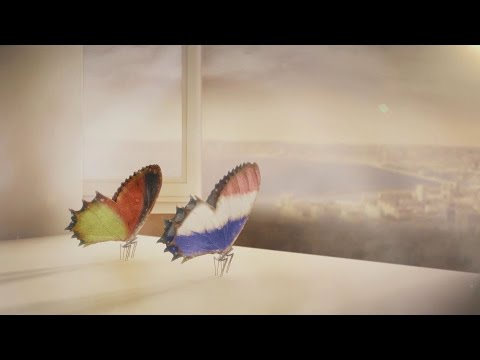 7 ივლისი, 23:00, ევრო 2016. ნახევარფინალი. გერმანია - საფრანგეთი