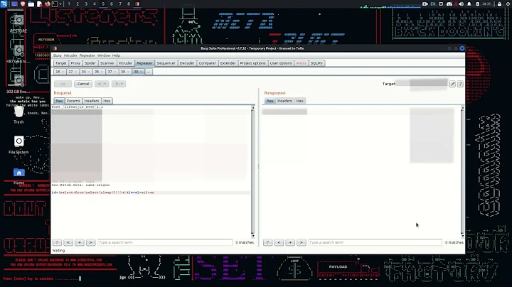 [BugBounty] Time Based SQL-Injection with Three Times Reflect