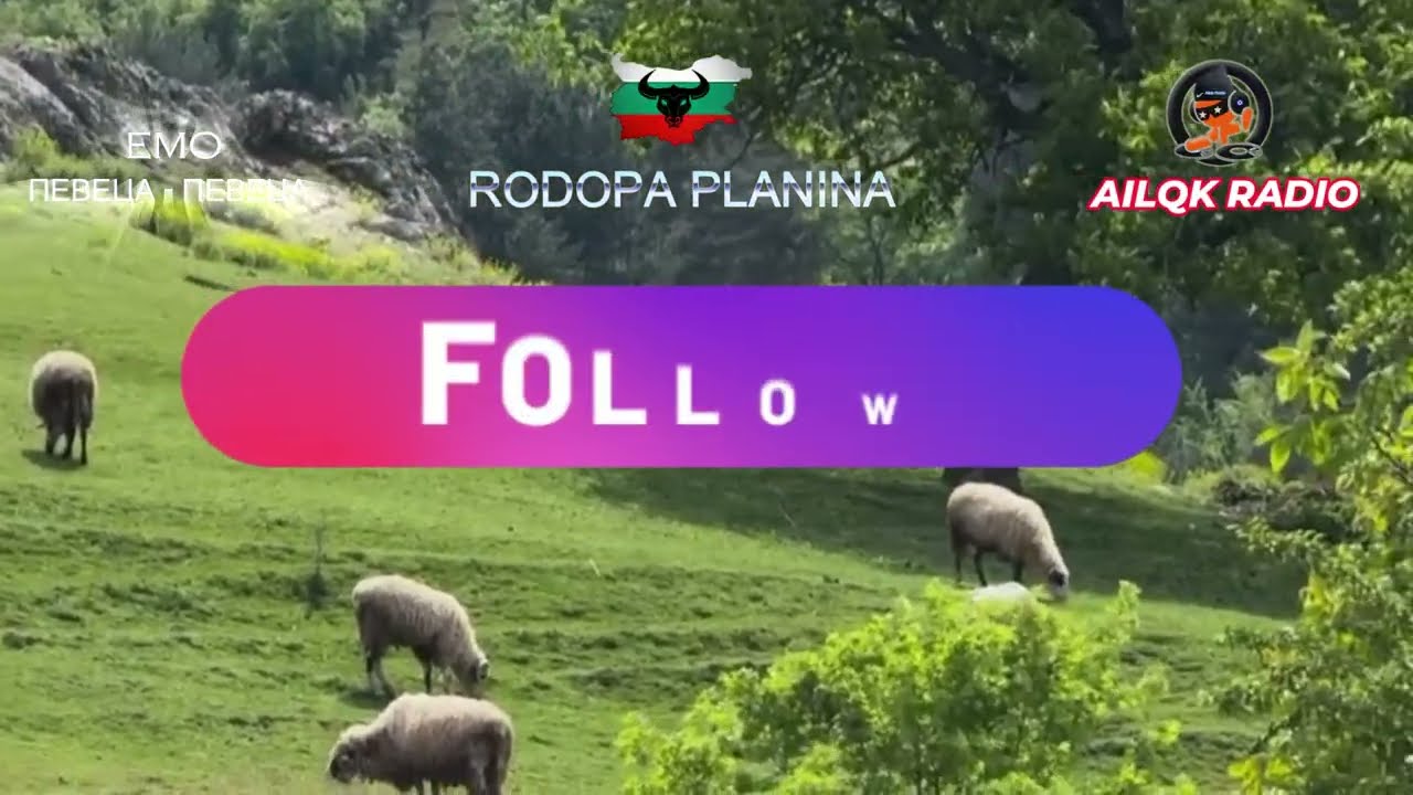 Емо Певеца Певеца хороводна китка 2 от Аиляк Радио