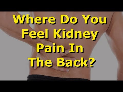 Where Do You Feel Kidney Pain In The Back