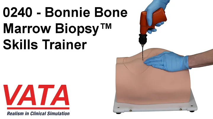 0240 - Bonnie Bone Marrow Biopsy Skills Trainer