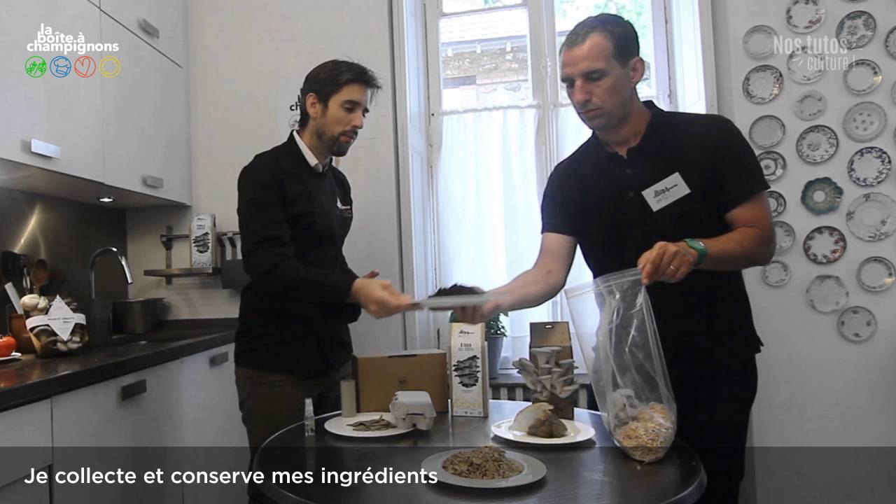 Préparation 2 - Je collecte mes ingrédients et je les conserve au congélateur