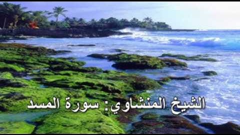 111- سورة المسد - الشيخ محمد صديق المنشاوي ( النسخة الحديثة المطورة - القرآن كاملا )