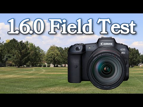 FIELD TESTED! Canon R5 and R6 Firmware 1.6.0