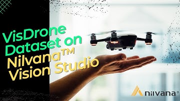 Drone video object detection