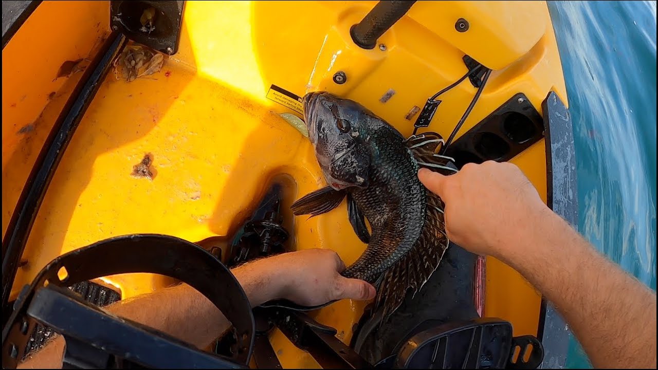 Jigging Bucktails For Keeper Black Seabass, Fluke & Scup. Kayak Fishing Rhode Island