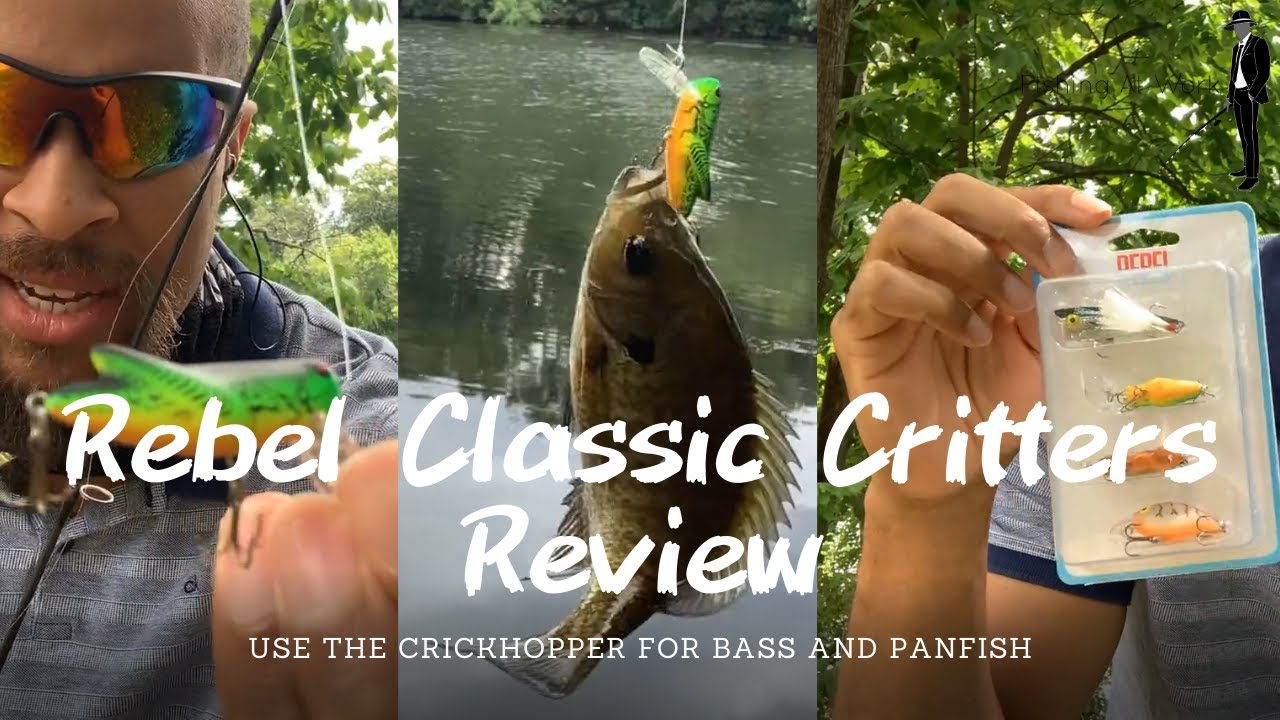 Rebel Classic Critters Fishing Lures