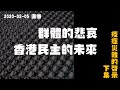 疫症災難的啓示  下集  群體的悲哀、香港民主的未來  20200205 直播