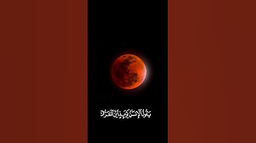 📖 تلاوة قصيرة وخاشعة للشيخ ماهر المعيقلي – قرآن كريم