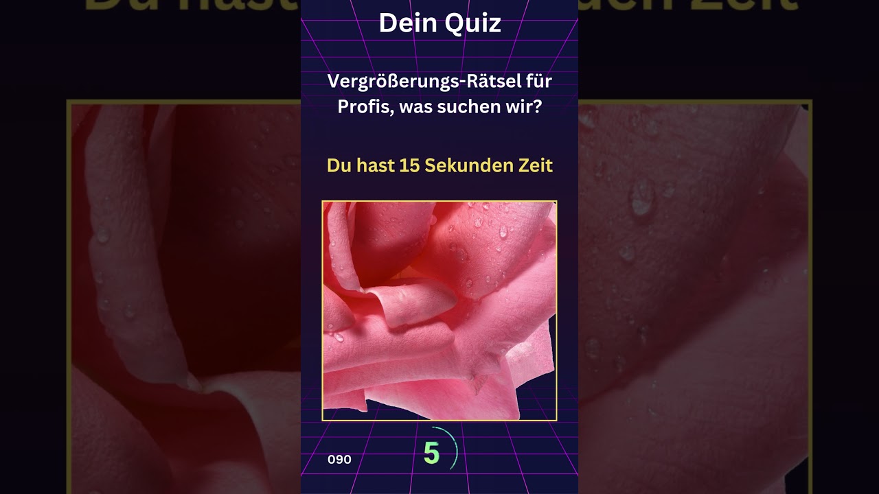 Kannst du dieses Objekt erkennen? 🔍   #deutsch #wissen #Quiz #R&auml;tsel #ZoomQuiz #Fun #allgemeinwissen