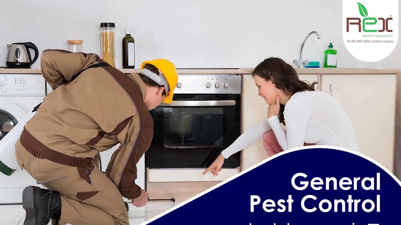 Pest Control Agency Pest Control Agency In Ahmedabad Pest Control