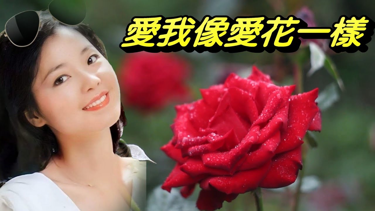 愛我像愛花---鄧麗君テレサ・テンTeresa Teng - YouTube