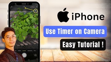 How to Use the Timer on iPhone Camera (iOS 16 Update)