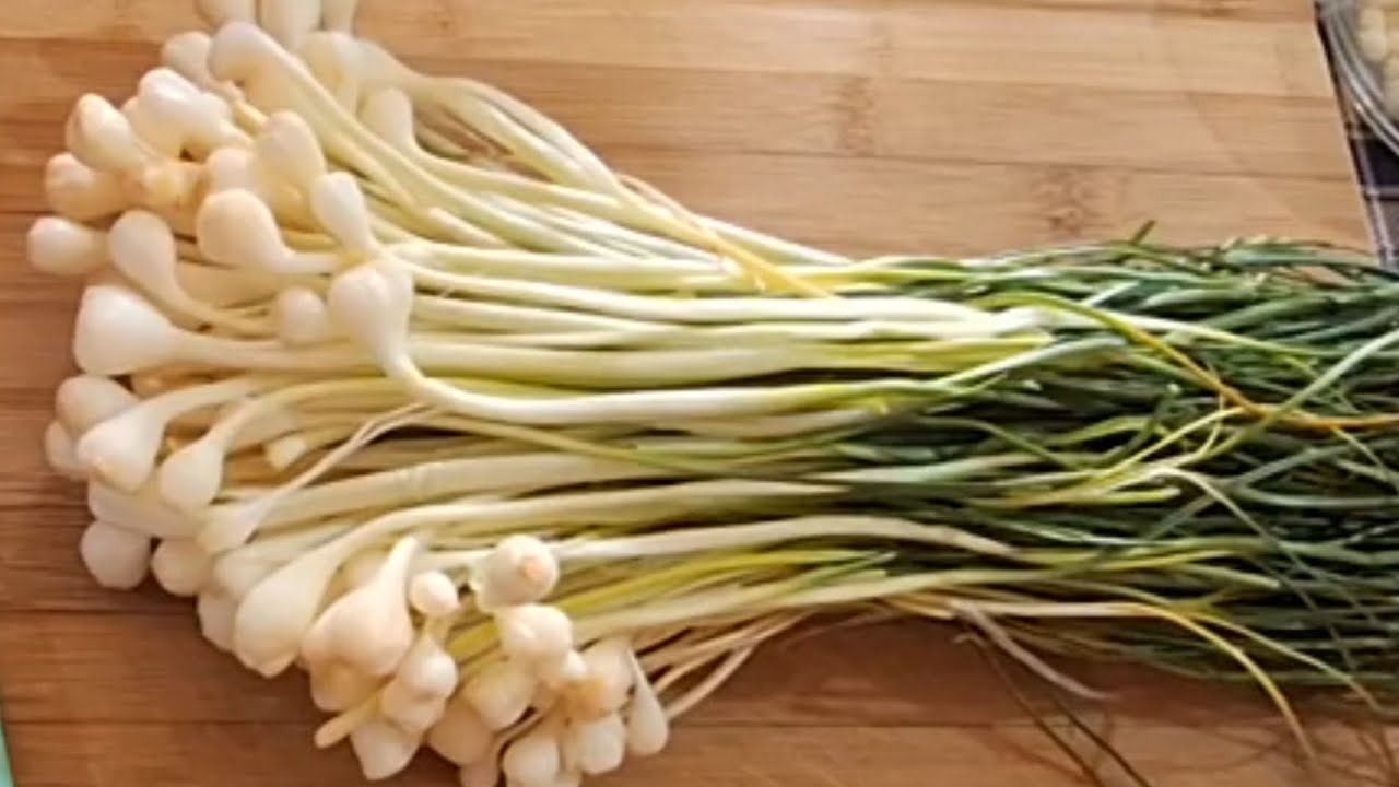 #كسكسي_باليازول مع سر البنة من أروع الوصفات التونسية الزمنية👩‍🍳