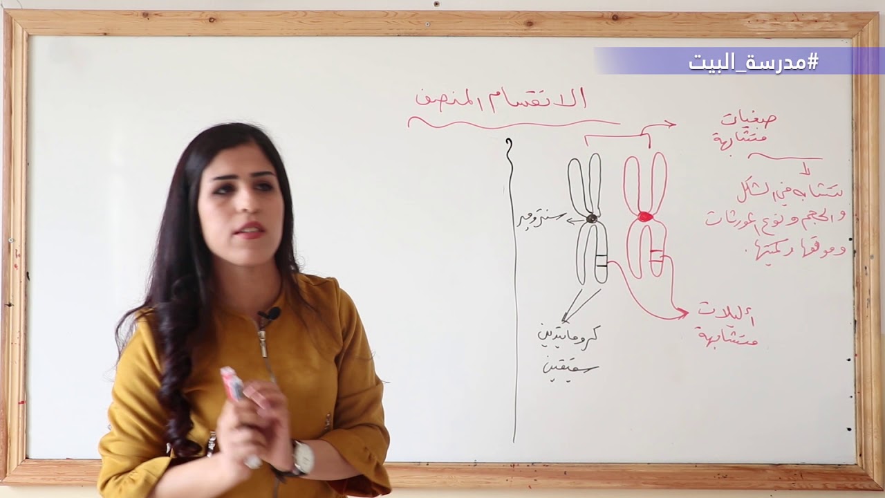 الصف  11   علم الحياة   الوحدة   2   الانقسام المنصف
