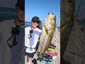 堤防からアジを泳がせたらすぐ