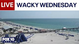 🔴LIVE: WEBCAMS around the world | April 15 | FOX 10 Phoenix