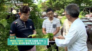 힐링캠프(임지호) 20130708 #6(2)