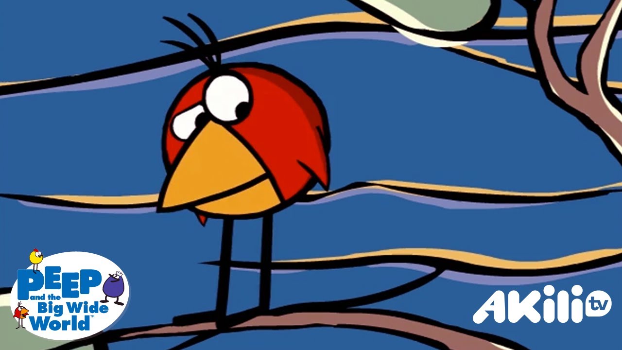 Peep And The Big Wide World | The Science of Puddles✨ | Akili TV