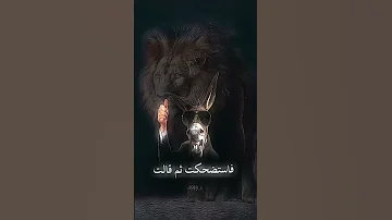الل يث م لك الق فار حزء1 السعودية اكسبلور العرب تصميمي 