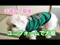 【犬服】ワンコの古着をほどいて簡単型紙簡単手縫いユニフォームをリメイク